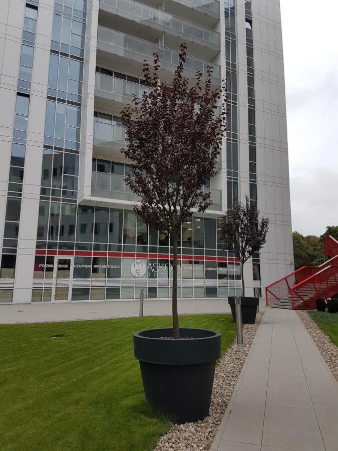 Apartament Towarowa 37 Poznań Esterno foto