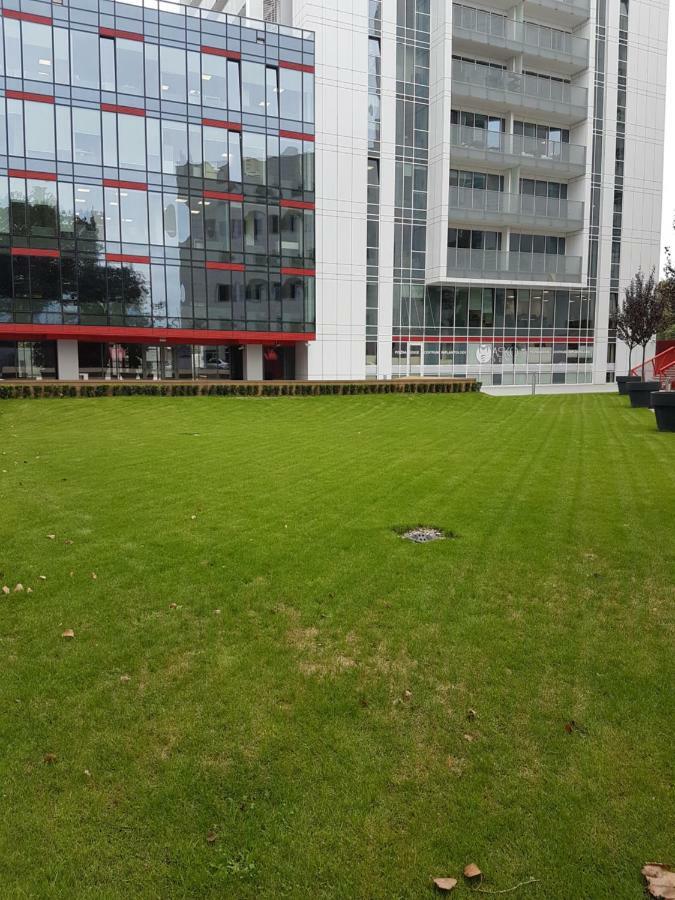 Apartament Towarowa 37 Poznań Esterno foto